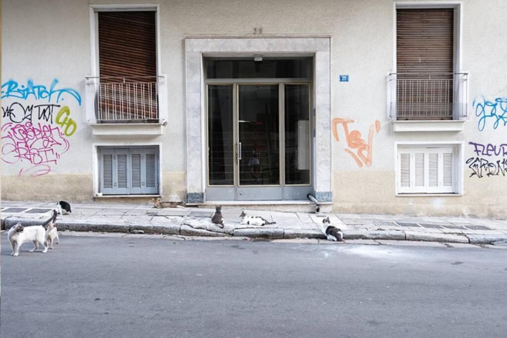 Charming Rooftop Nest With Awesome Acropolis View Downtown Atenas Exterior foto